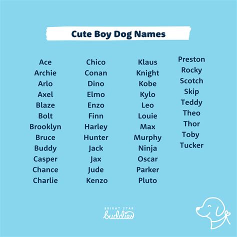 The Best Pet Names for Dogs of All Breeds